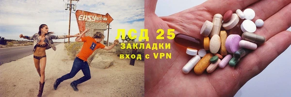 ешки Аркадак