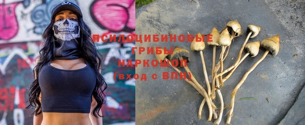ешки Аркадак