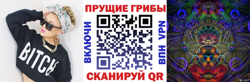 Псилоцибиновые грибы Psilocybe  Малмыж 
